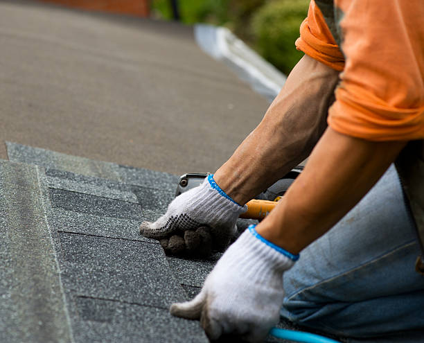 Professional Roofing Contractor in Jasper, TN